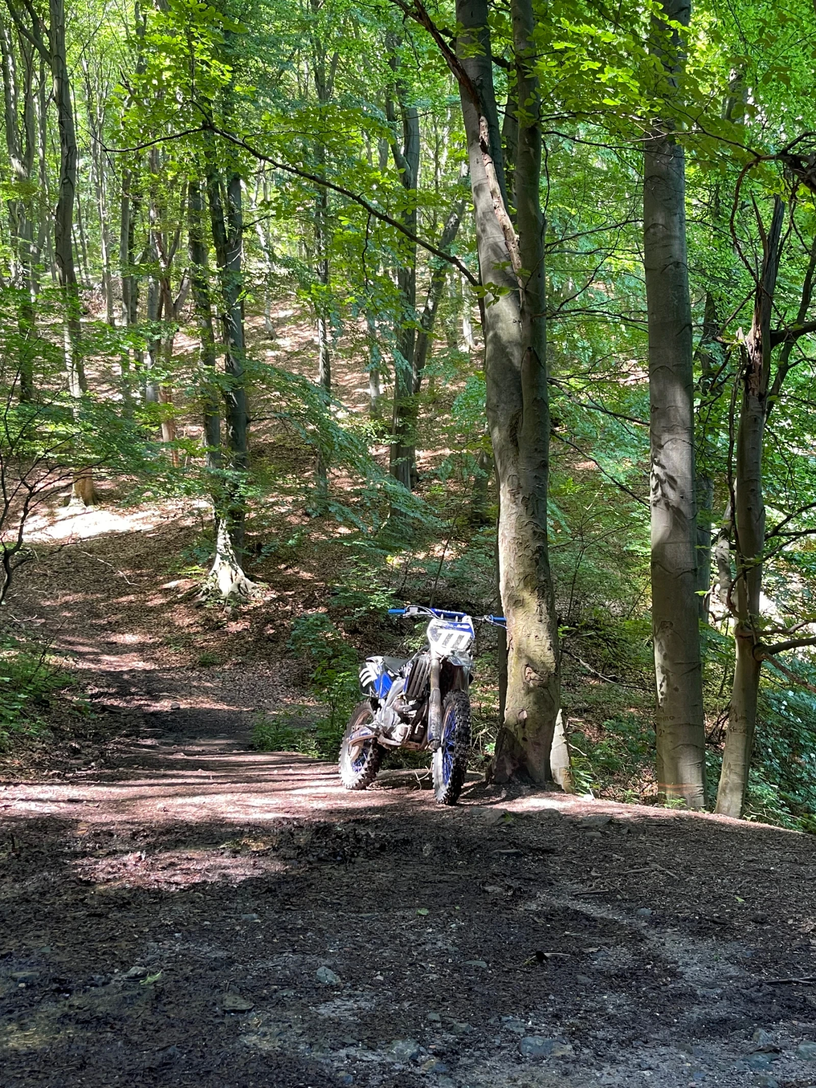Yamaha Yzf Yamaha Yz-F 450!TOP!!!
