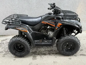 Kawasaki Brute Force 300, снимка 2