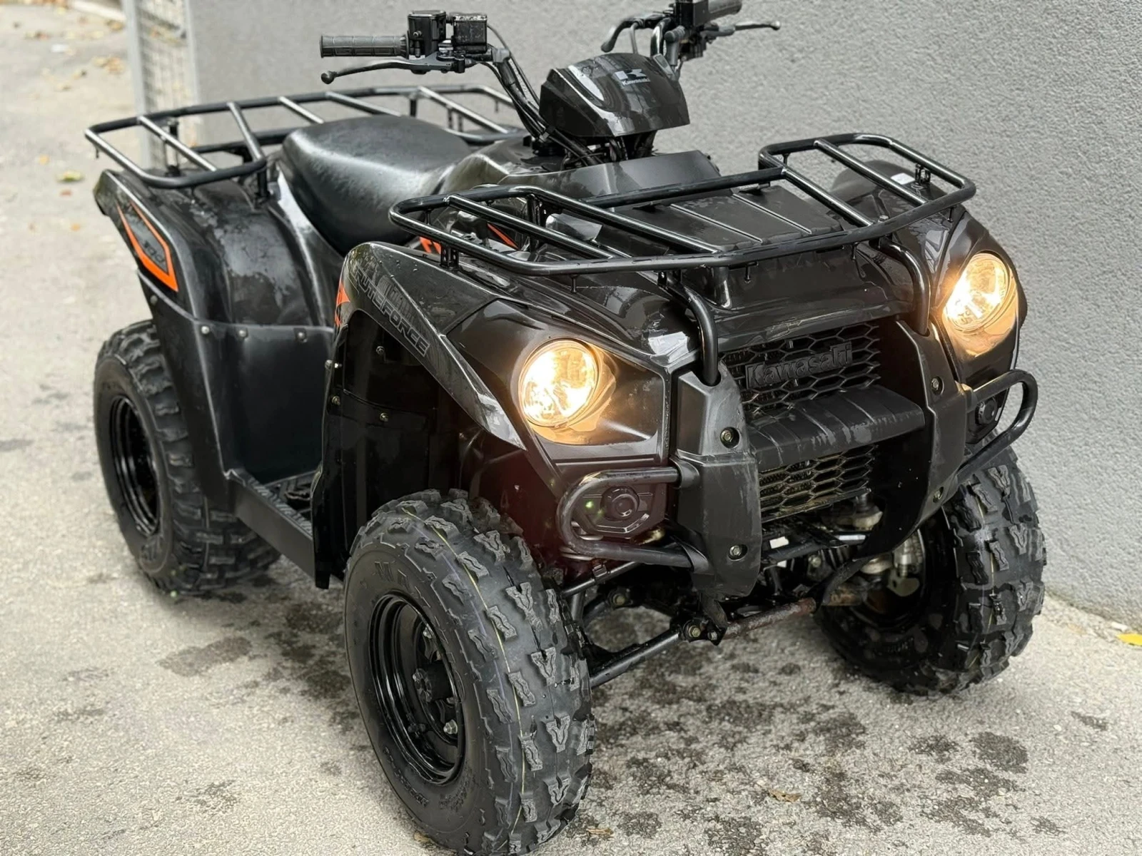 Kawasaki Brute Force 300 - изображение 3