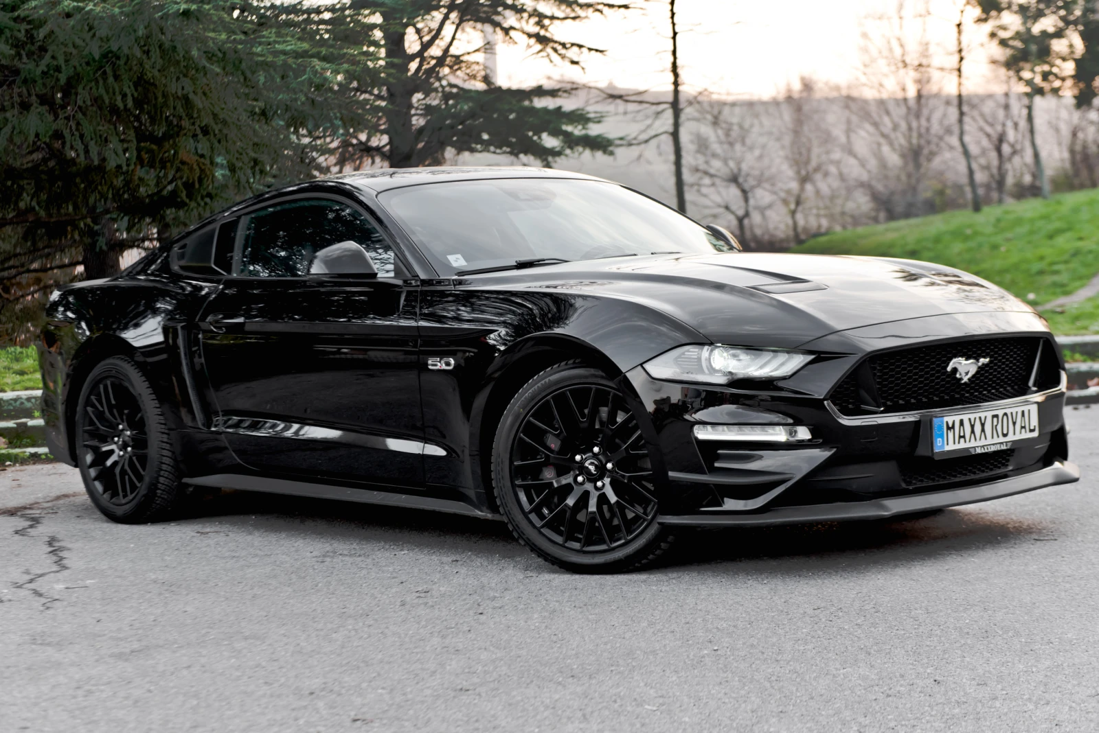 Ford Mustang GT 5.0 V8, снимка 1