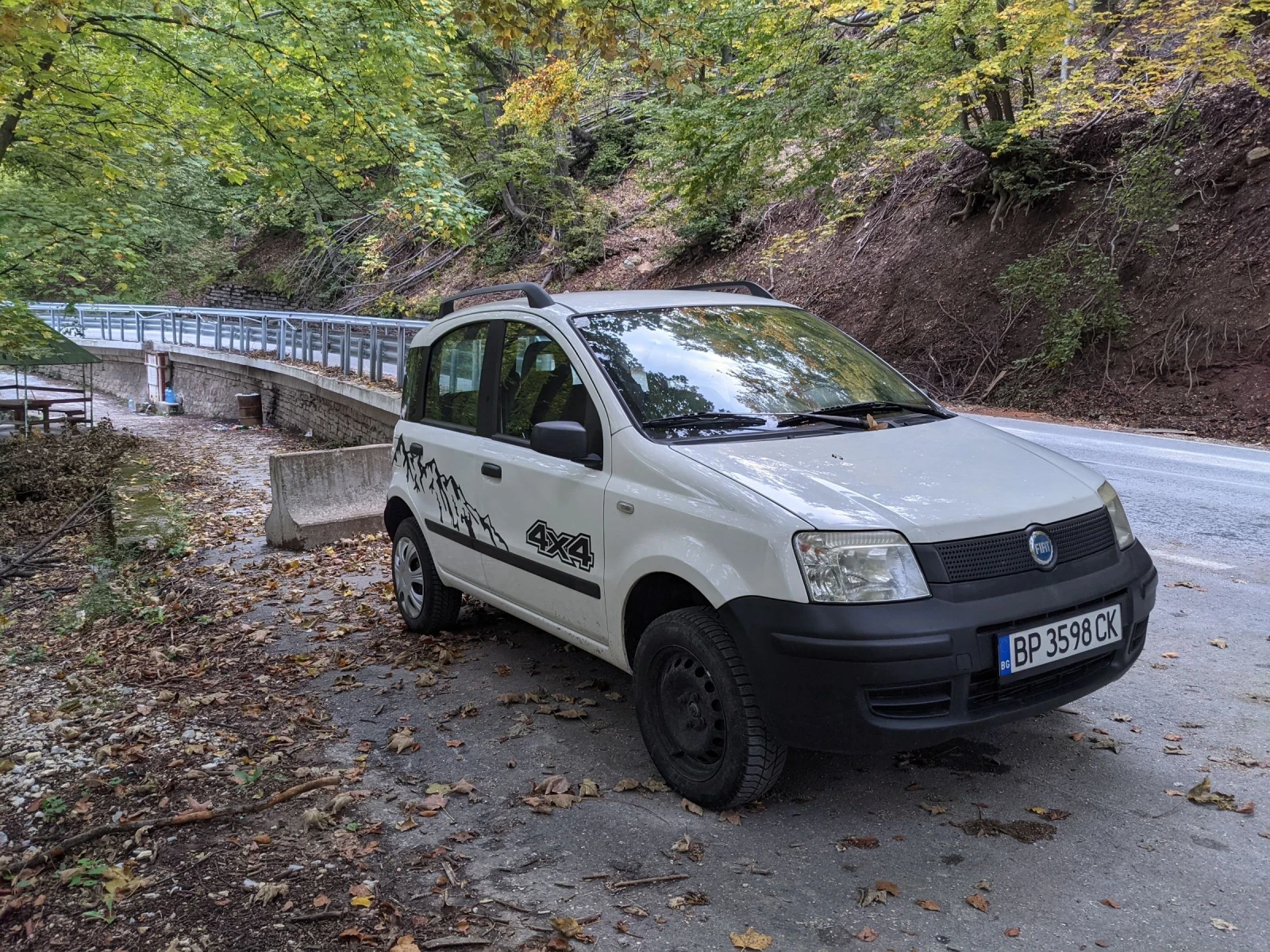 Fiat Panda 4x4 газ - изображение 4