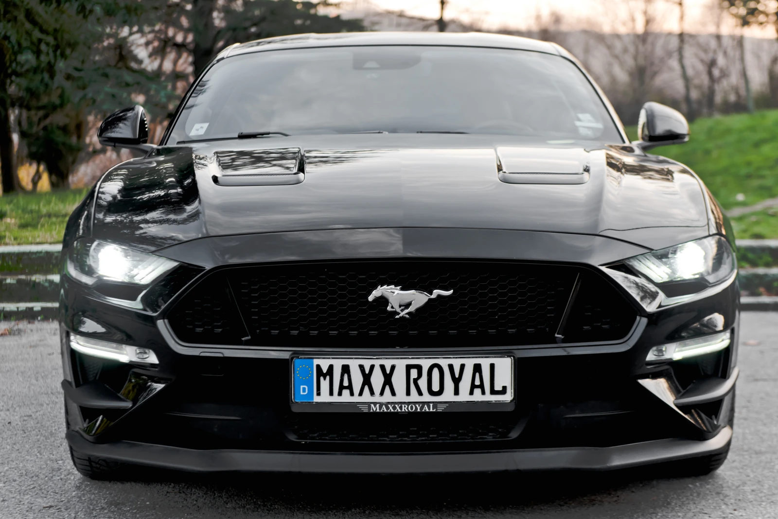 Ford Mustang GT 5.0 V8 - изображение 2