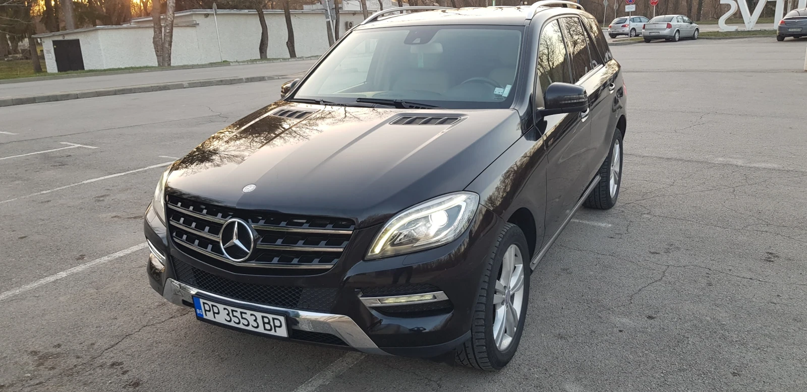 Mercedes-Benz ML 250, снимка 1