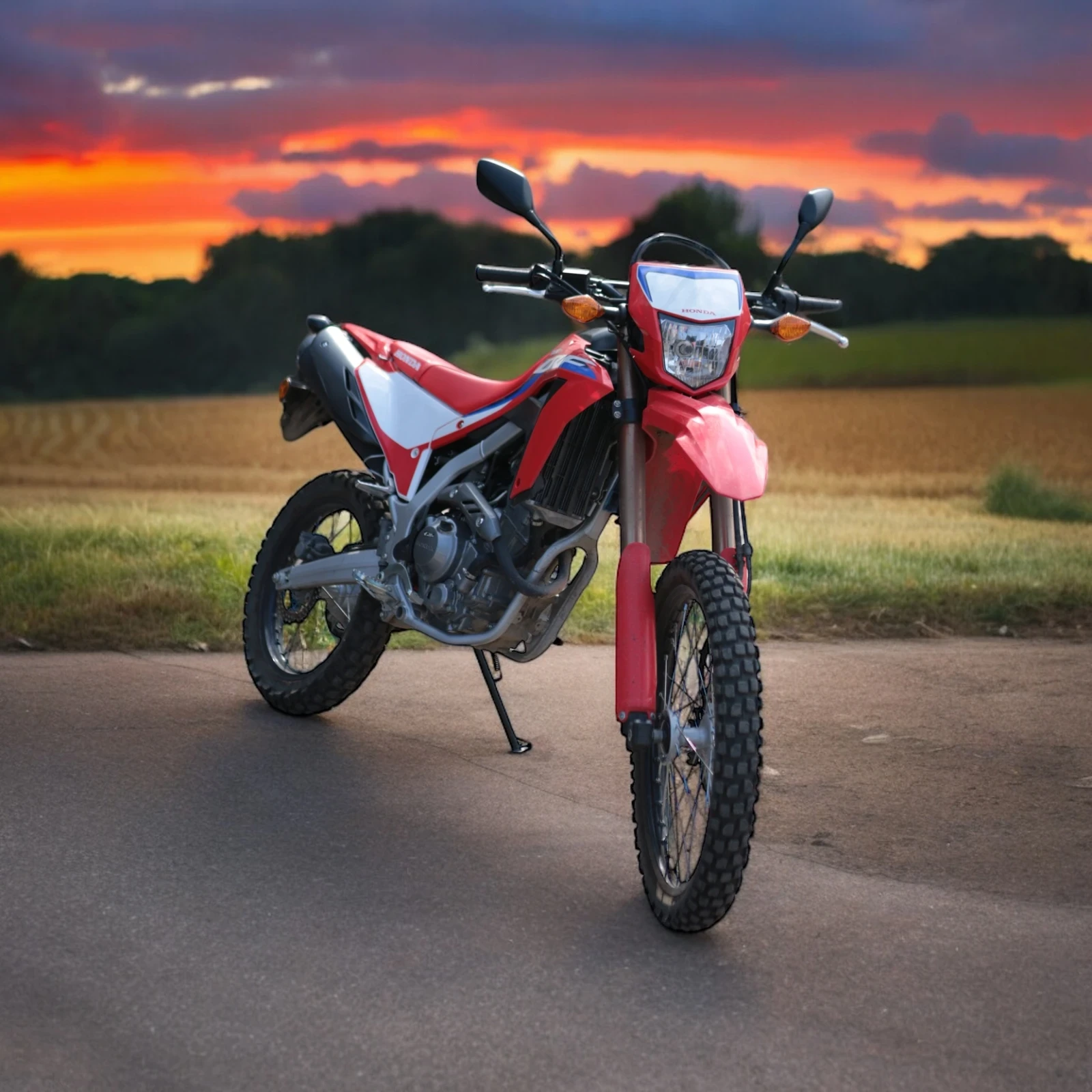 Honda Crf 300 - изображение 3