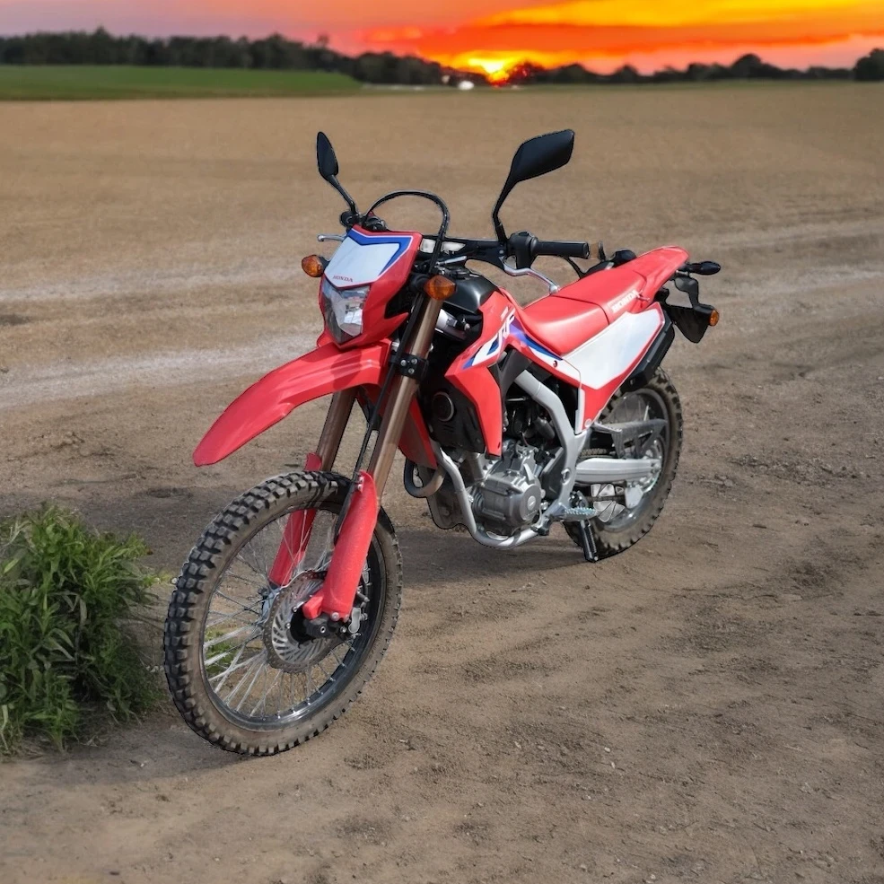 Honda Crf 300 - изображение 2