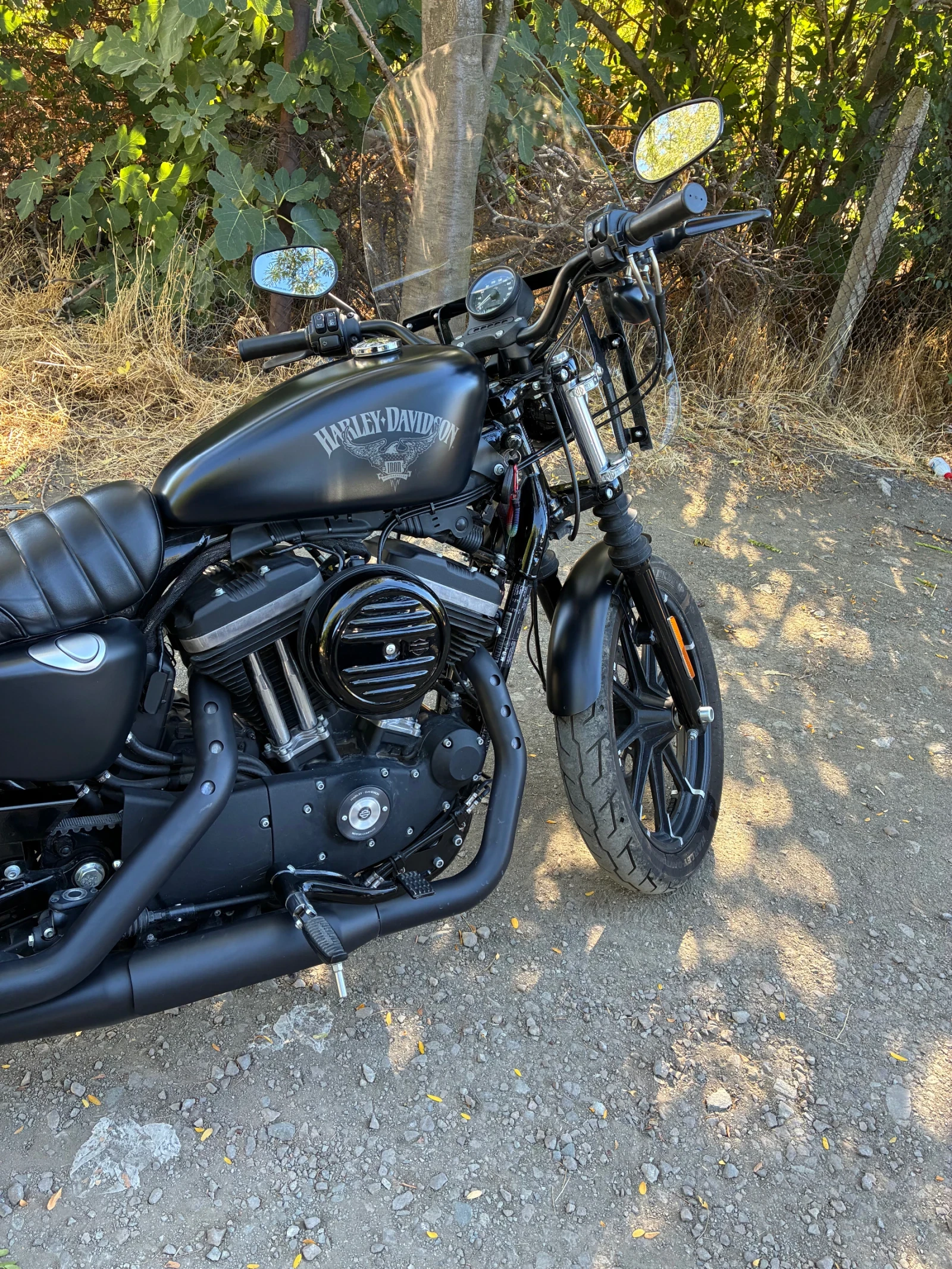 Harley-Davidson Sportster Iron883 - изображение 5