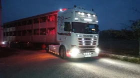 Scania R 500 Scania R500, снимка 10