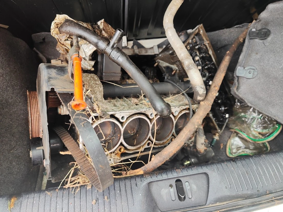 VW, SEAT, SKODA. Polo 1.4 16 � ���� ������� ���, ������, �����, ����� ������ 200 �� 0884 | Mobile.bg � ����������� 1