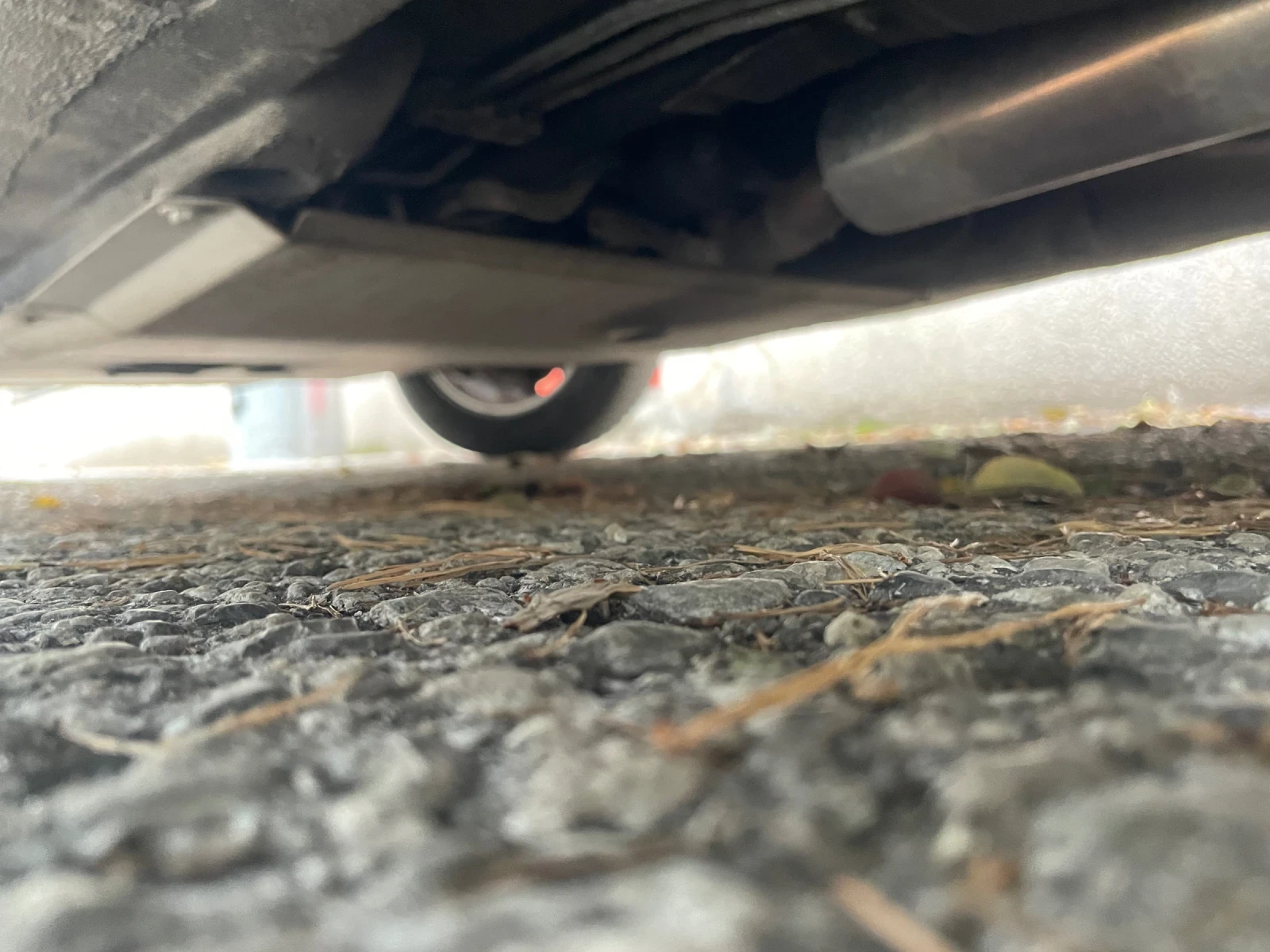 BMW 316 316i rally cross | Mobile.bg   13