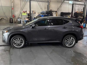 Lexus NX 350 * * CARFAX * *   * *  | Mobile.bg    2