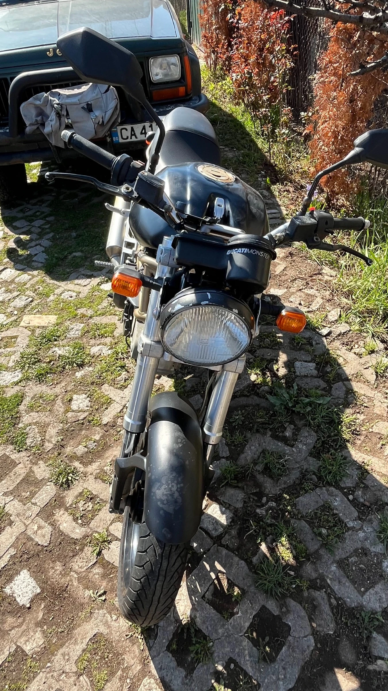 Ducati Monster 600 - изображение 2