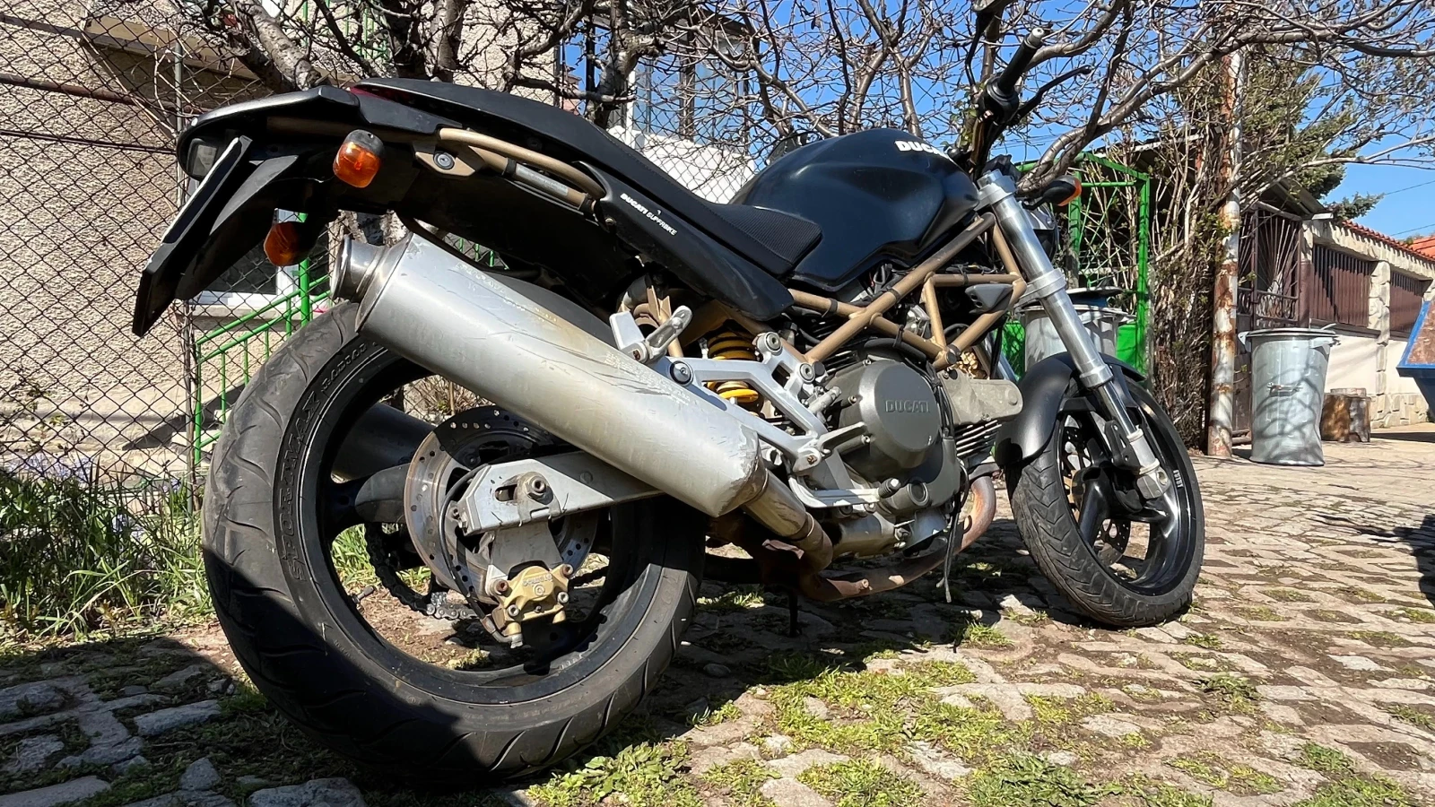 Ducati Monster 600 - изображение 3