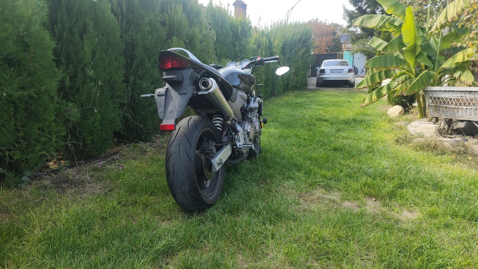 Honda Hornet  - изображение 3