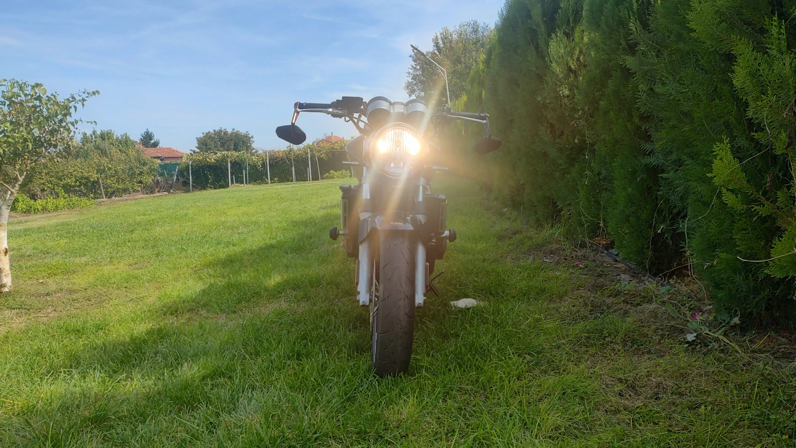 Honda Hornet  - изображение 6