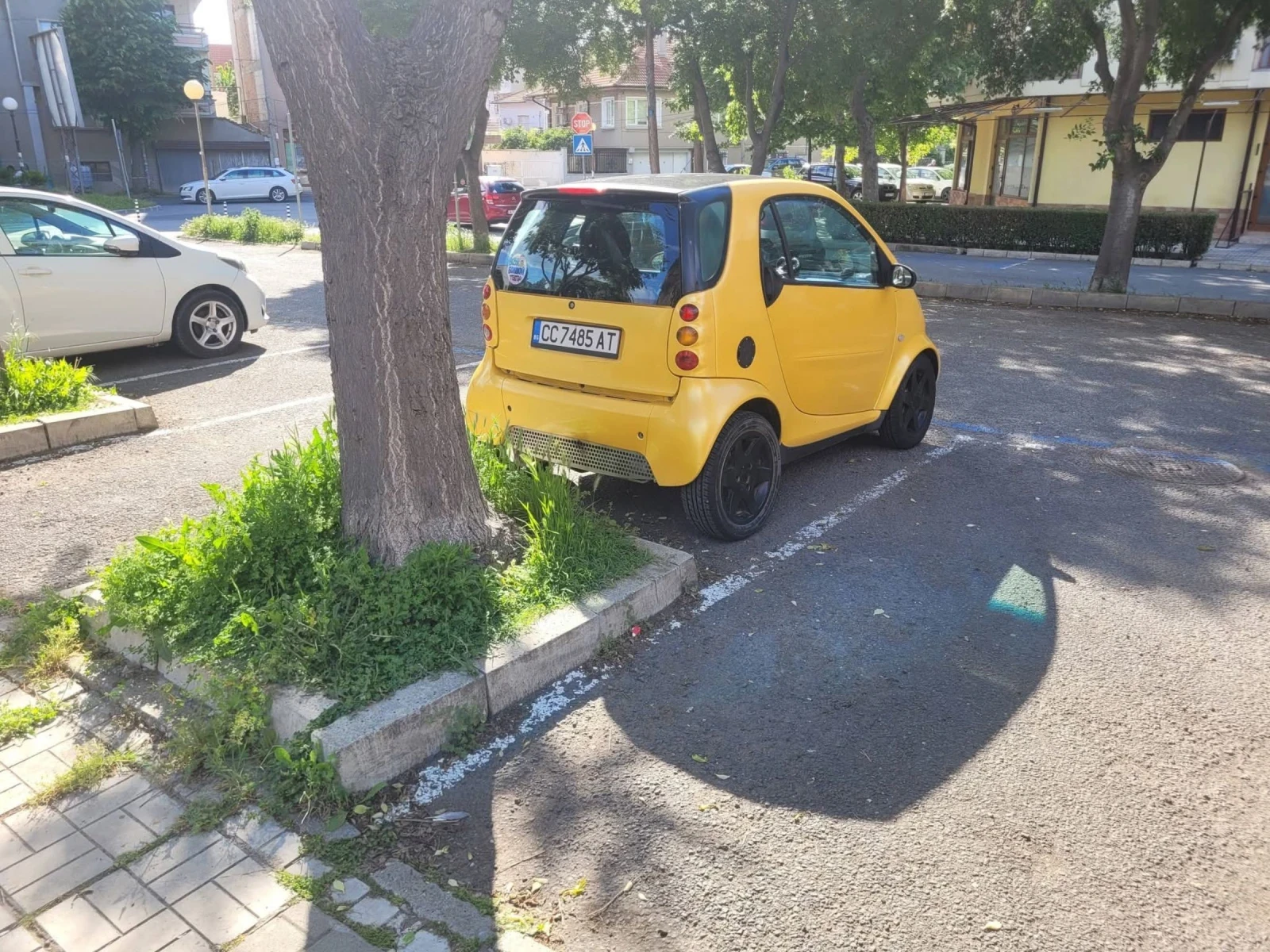 Smart Mc Fortwo, снимка 3 - Автомобили и джипове - 54589278