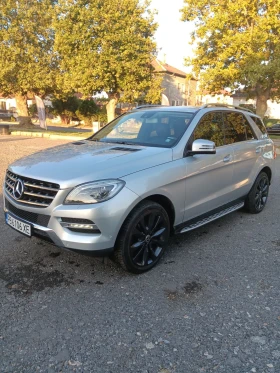 Mercedes-Benz ML 250 250 на пружини , снимка 1