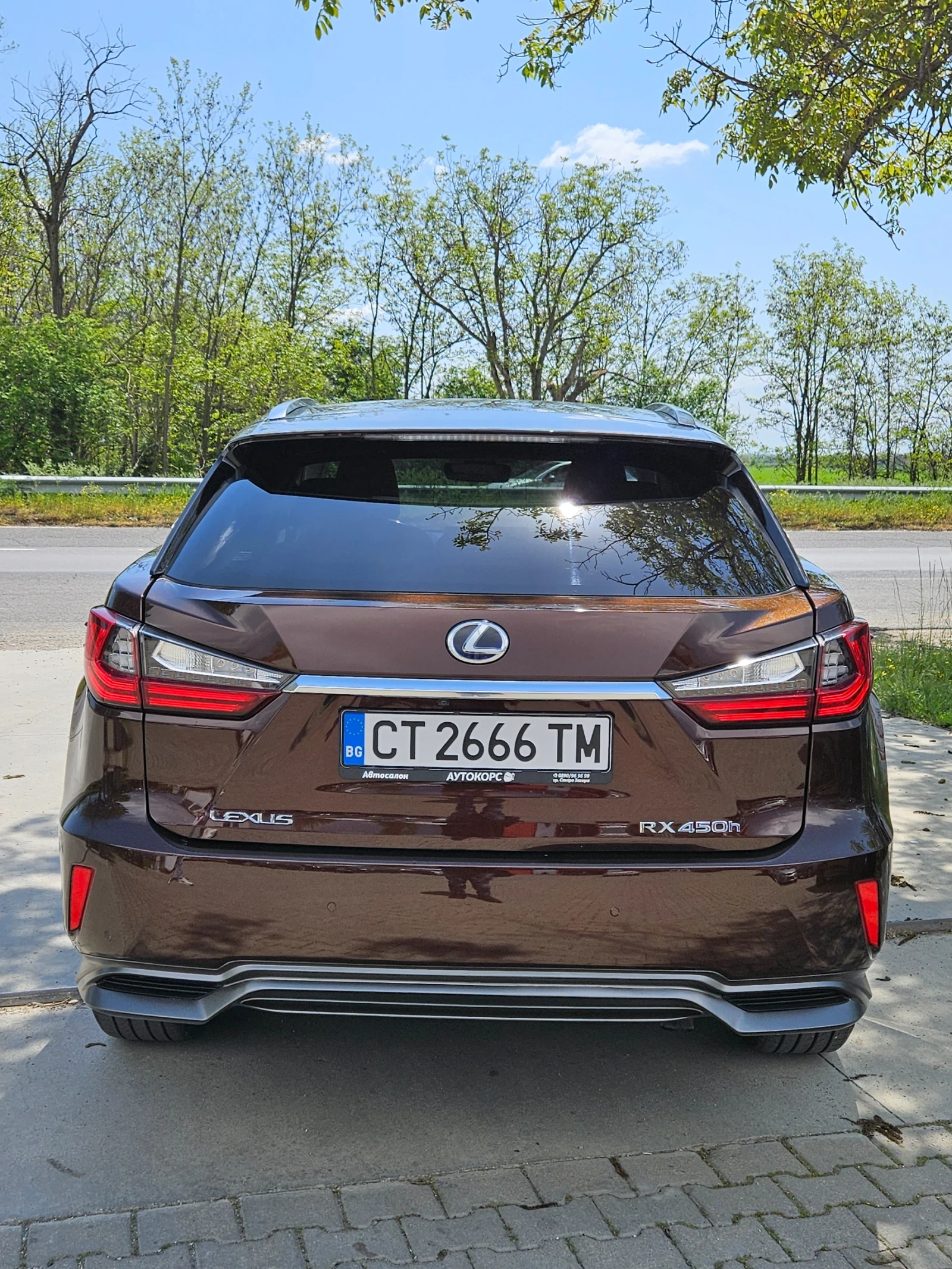 Lexus RX 450h Hybrid  - изображение 6