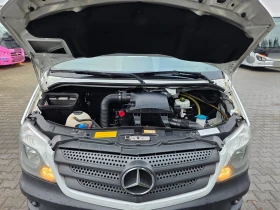 Mercedes-Benz Sprinter  516  | Mobile.bg � ����� ������ 8