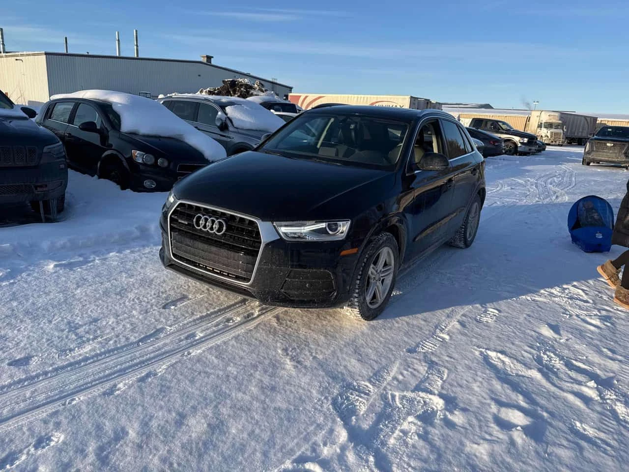 Audi Q3 * Progressiv * �������* KEYLESS* PANO* XENON*  | Mobile.bg � ����������� 1