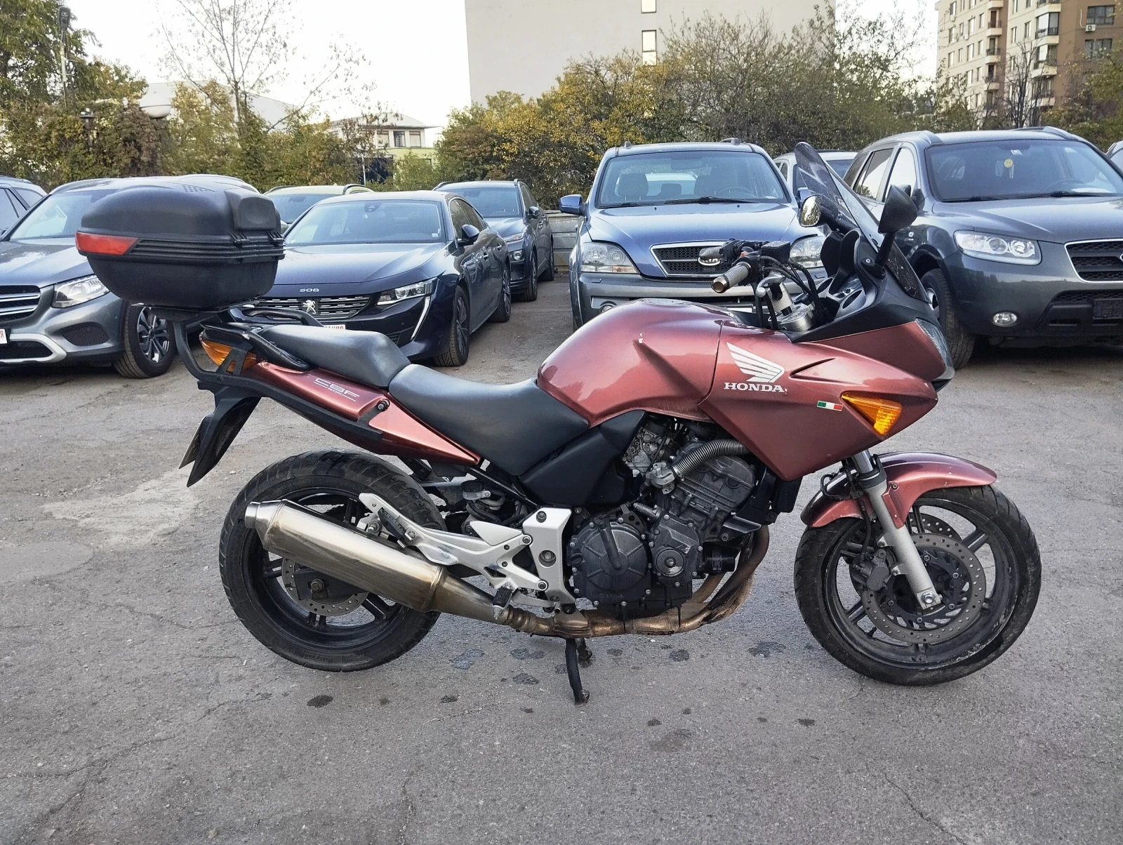 Honda Cbf 600 - изображение 5