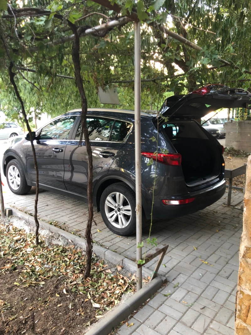 Kia Sportage, снимка 7 - Автомобили и джипове - 52665896