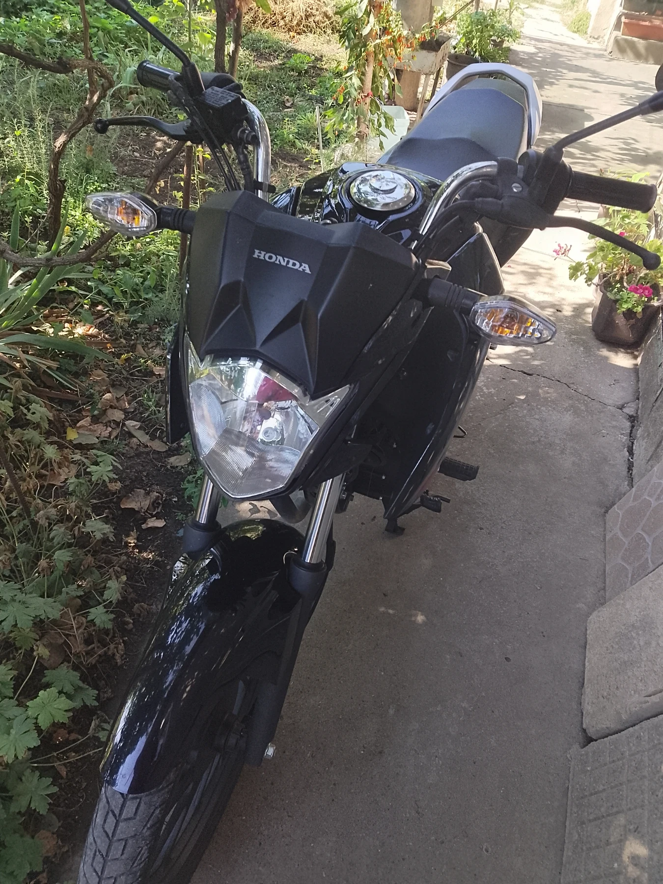 Honda Cbf CB125F - изображение 7