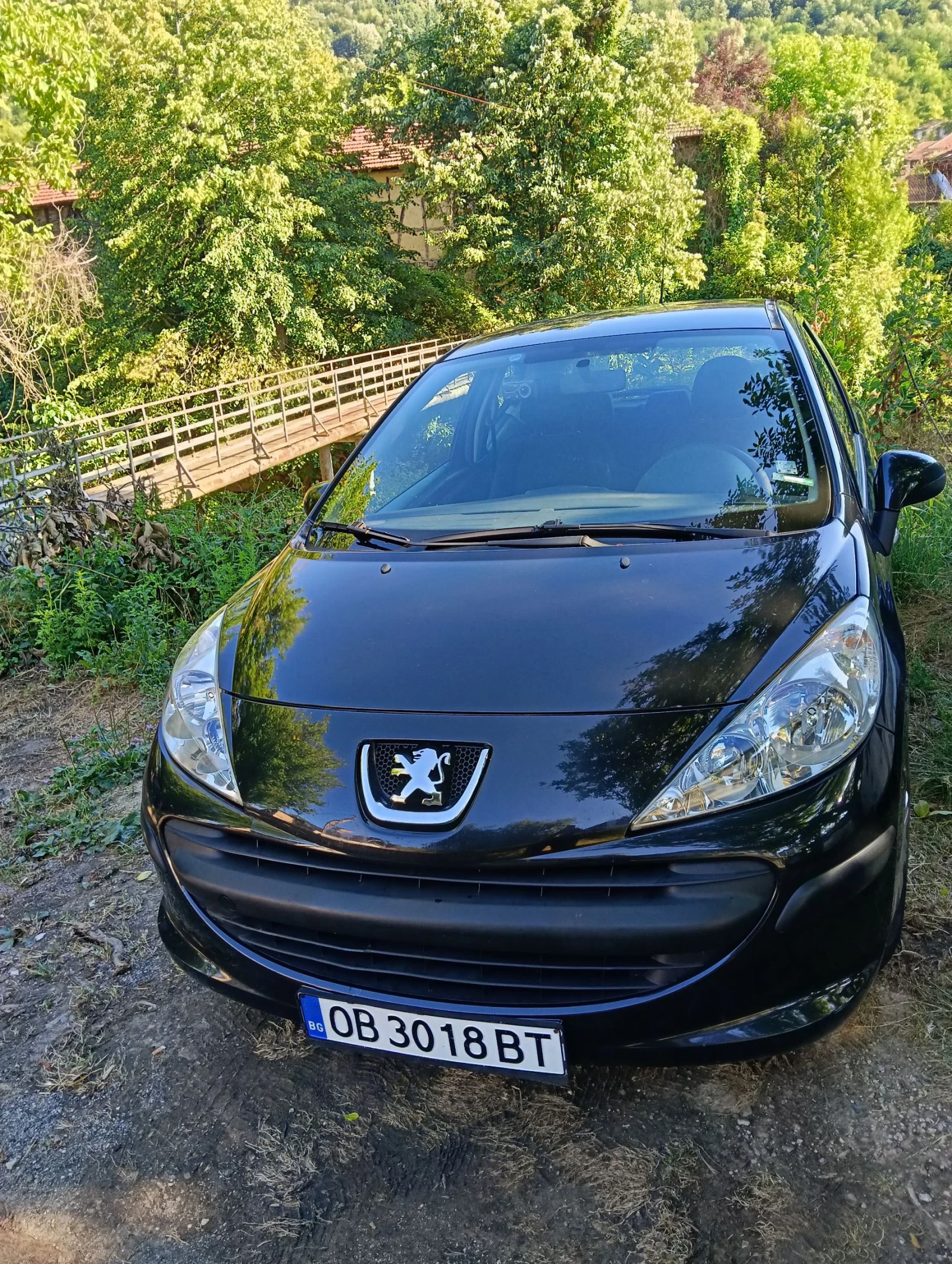 Peugeot 207 1.4hdi - изображение 3