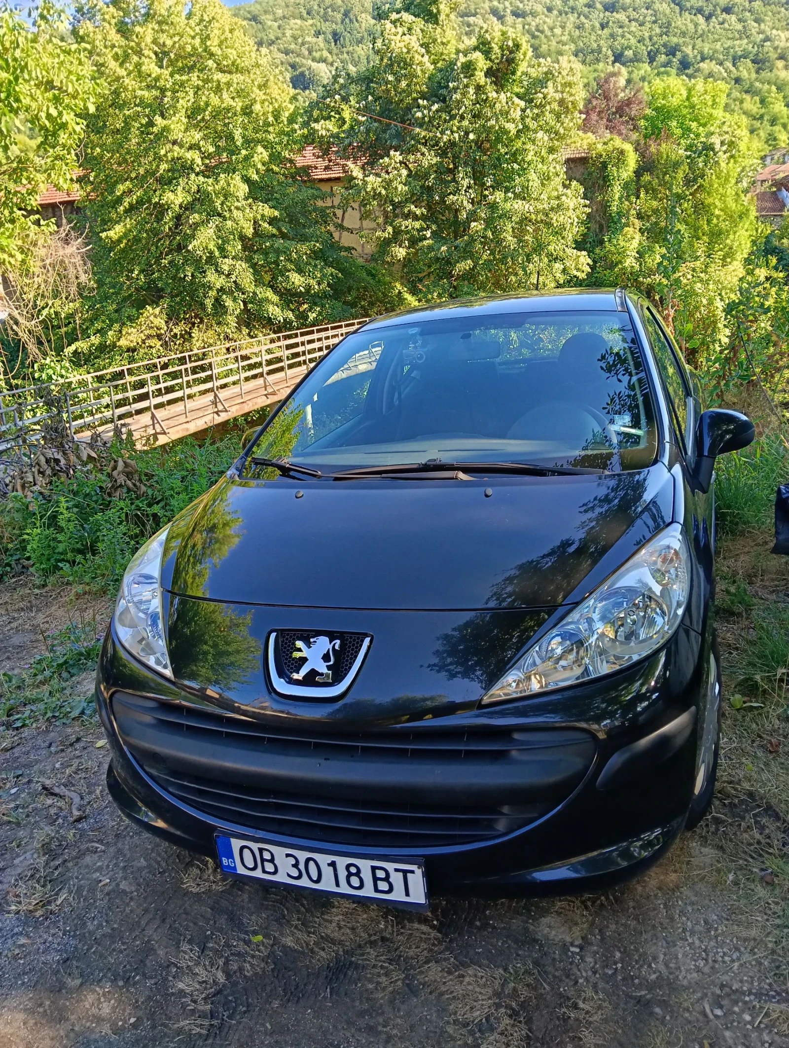 Peugeot 207 1.4hdi - изображение 4