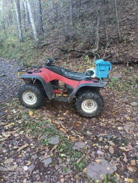     Arctic Cat TRV 300 4x4