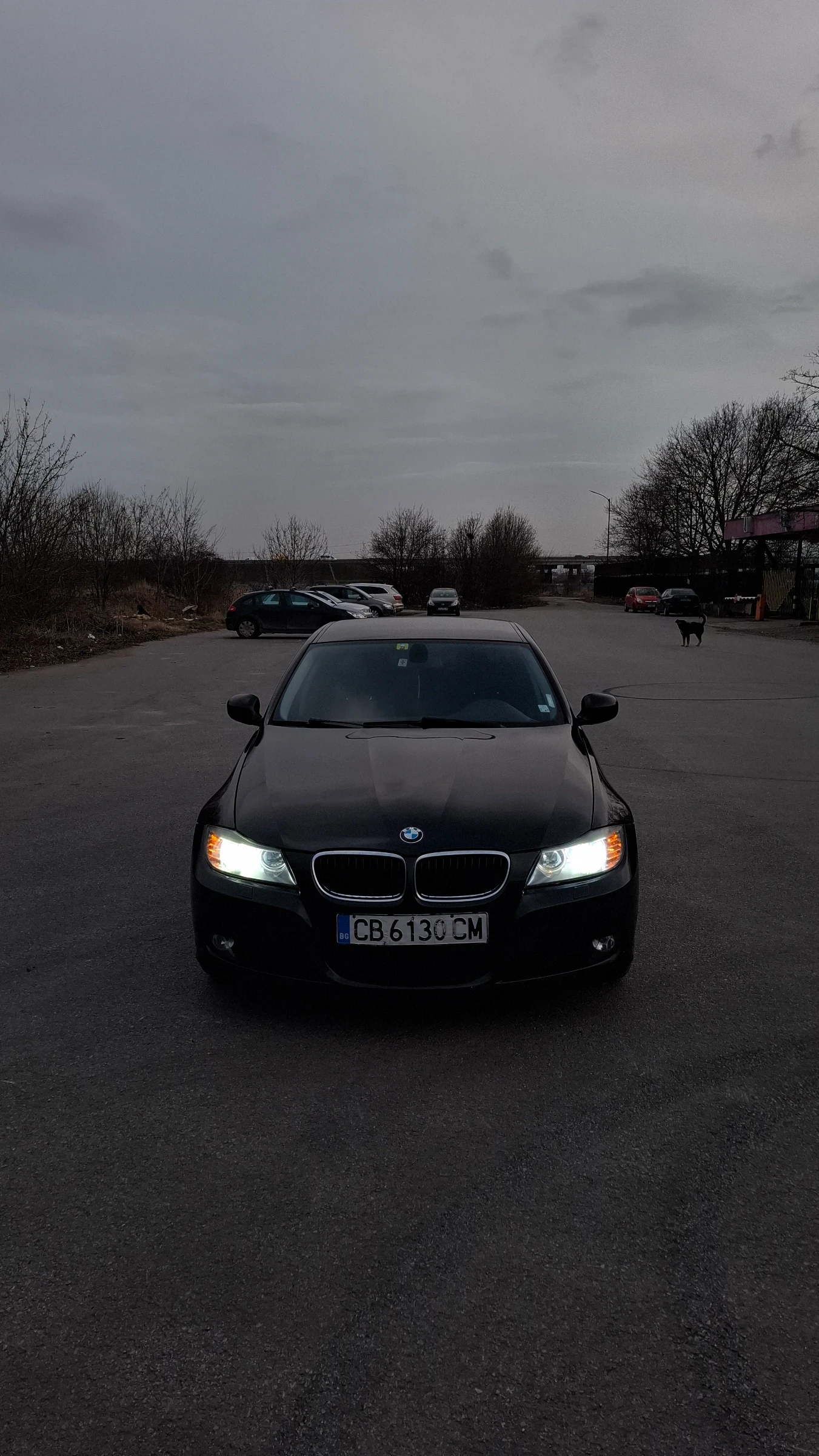 BMW 320, снимка 3 - Автомобили и джипове - 53712284