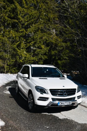 Mercedes-Benz ML 250 Ml250 4x4 BlueTEC w166, снимка 2