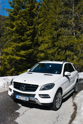 Mercedes-Benz ML 250 Ml250 4x4 BlueTEC w166