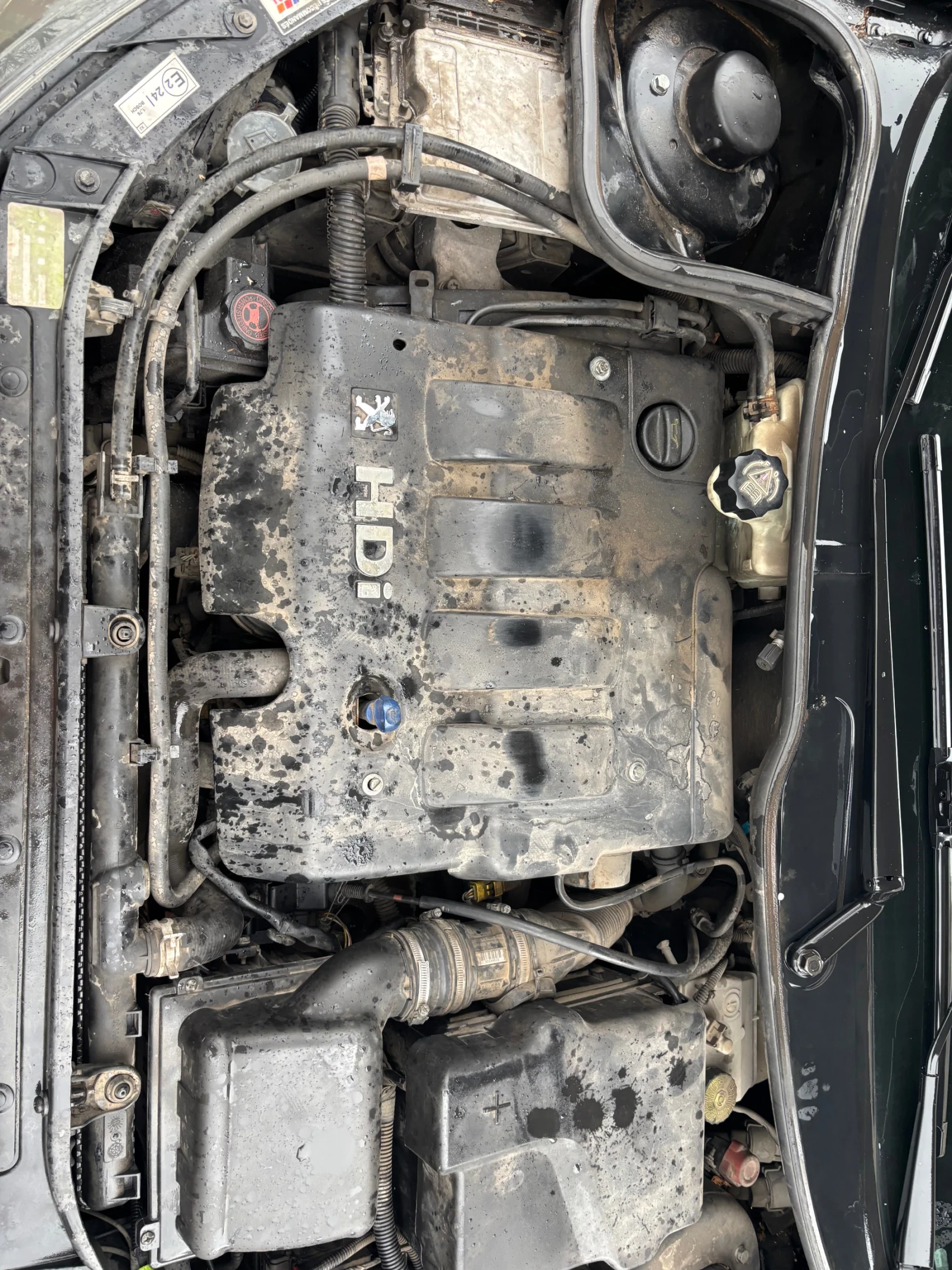 Peugeot 206 | Mobile.bg � ����������� 12