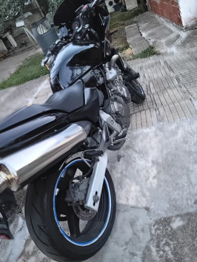 Honda Hornet CB 600 F | Mobile.bg    6