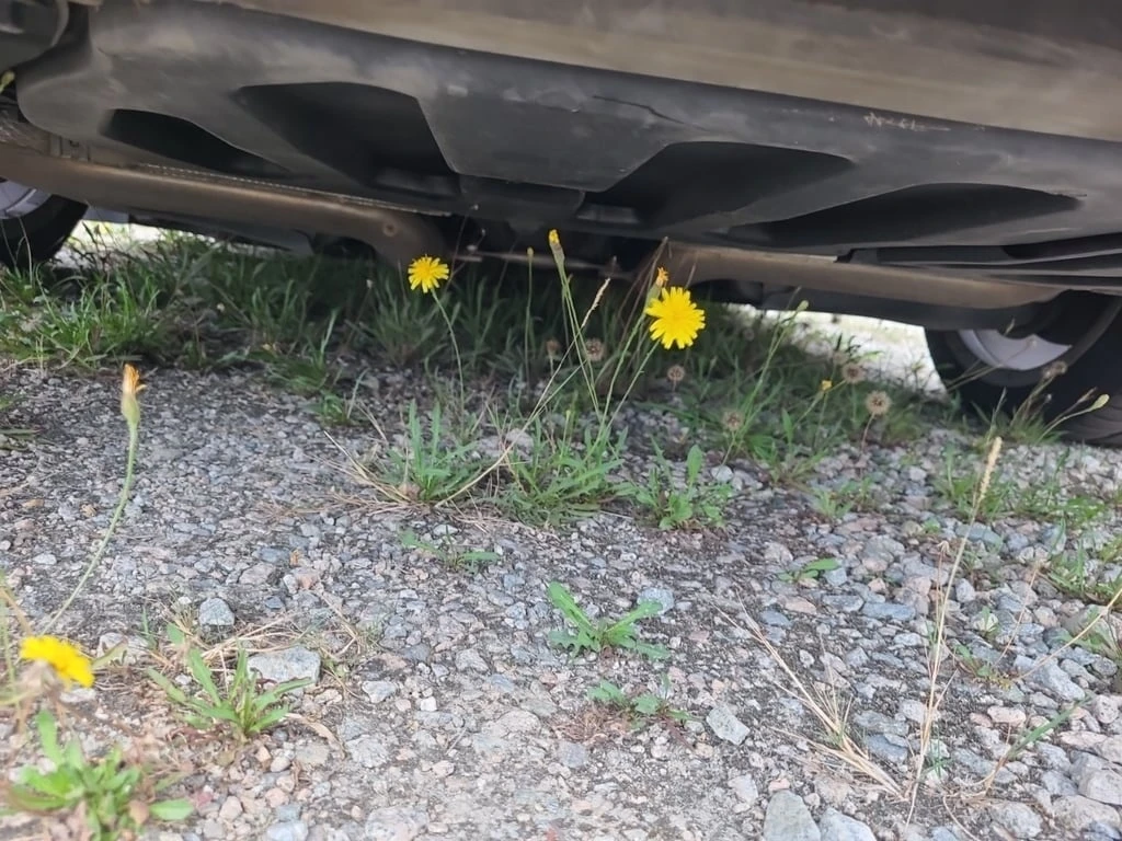 Mercedes-Benz E 500 * 550 * CARFAX *    | Mobile.bg   13