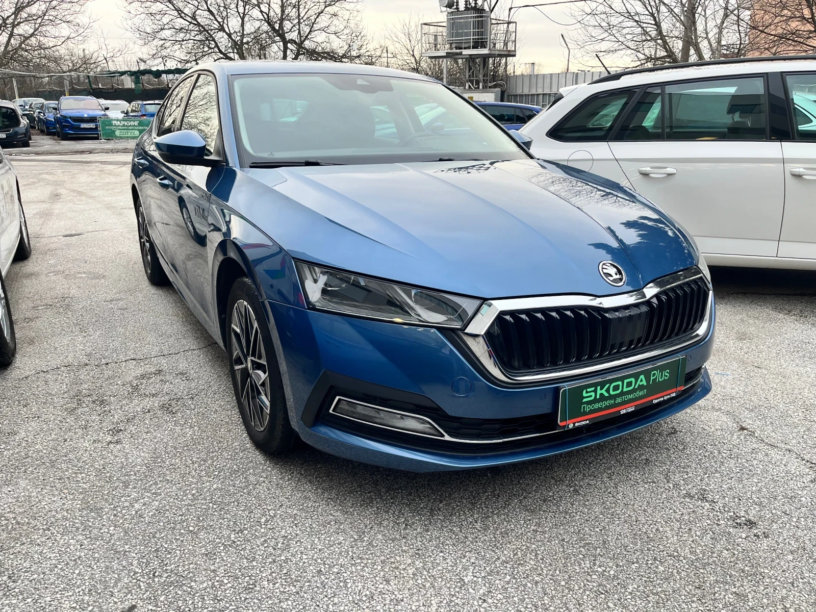 Skoda Octavia 1.5 TSI 7DSG M-HEV - изображение 2