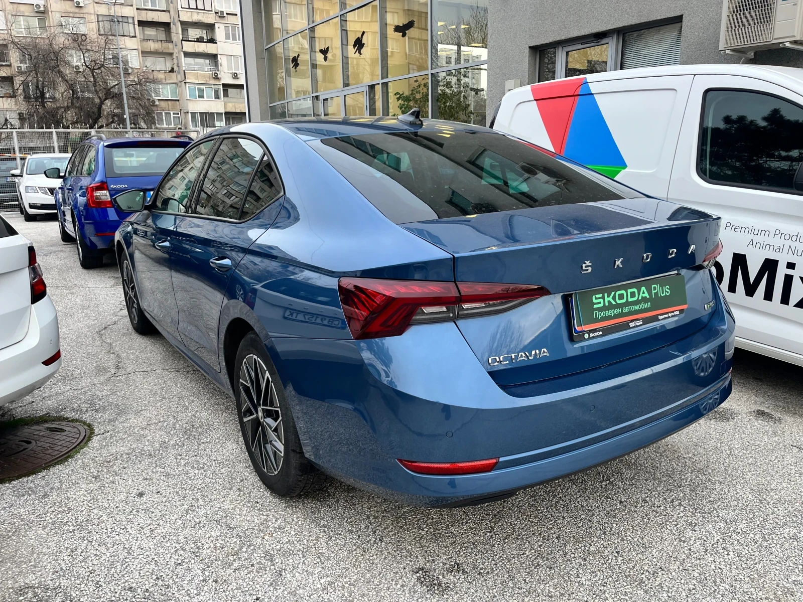 Skoda Octavia 1.5 TSI 7DSG M-HEV - изображение 4