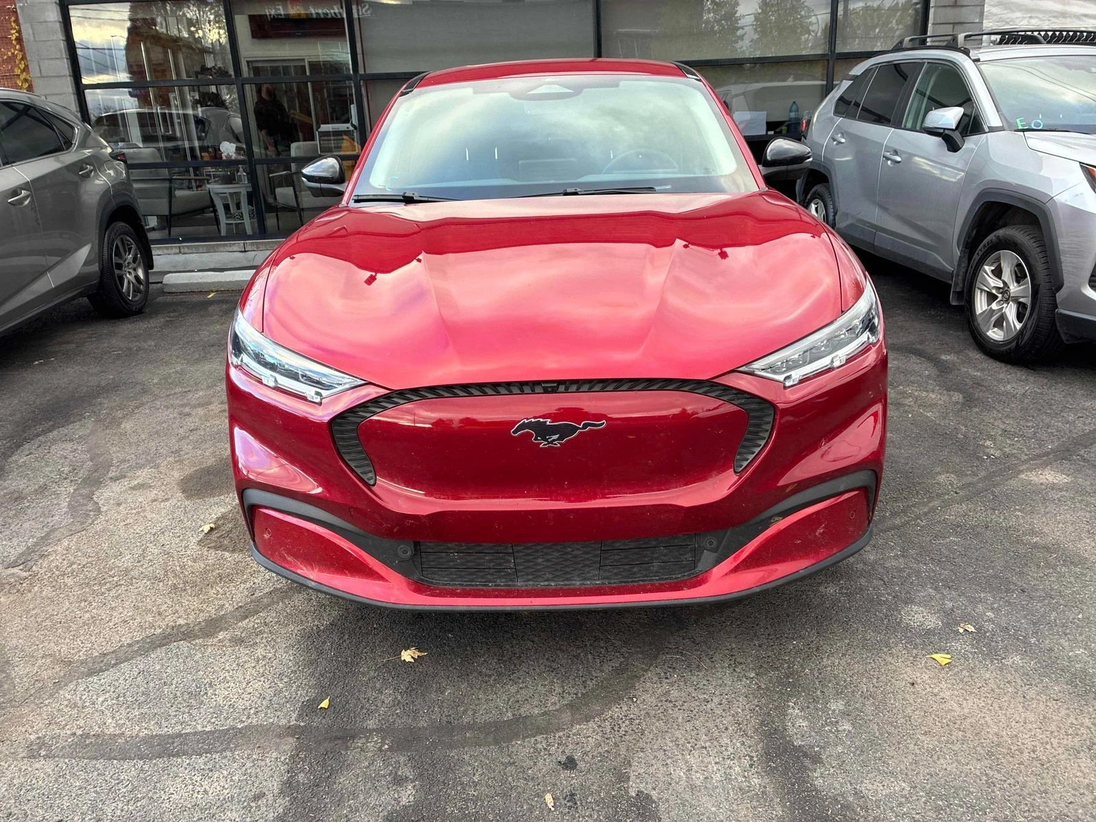 Ford Mustang Mach-E Select CARFAX АВТО КРЕДИТ  - изображение 5