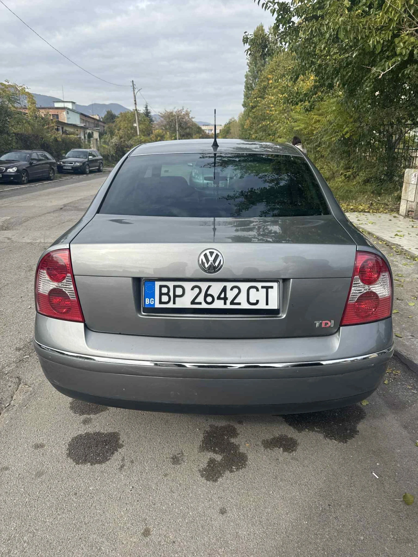 VW Passat  - изображение 2