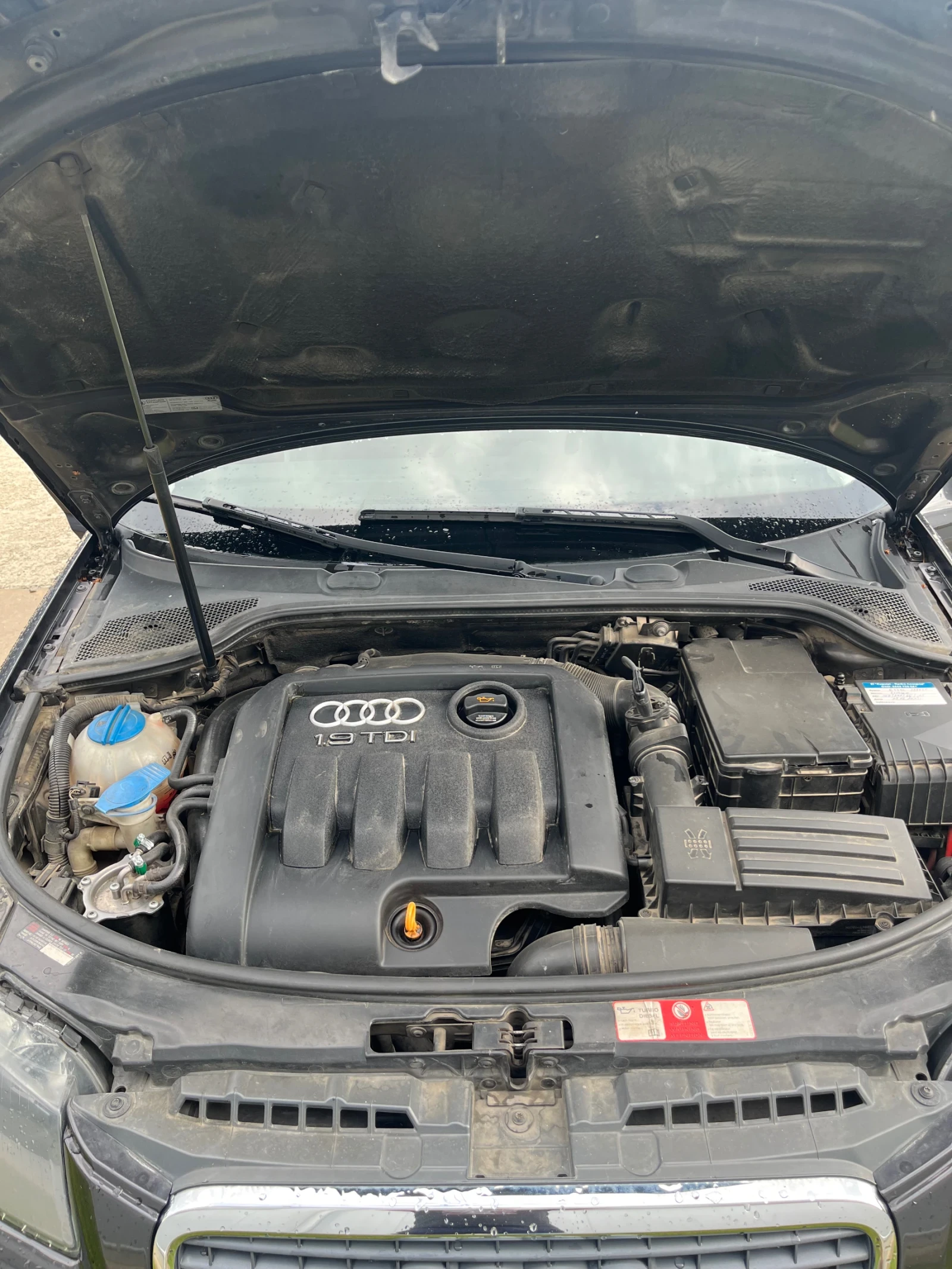 Audi A3, снимка 13 - Автомобили и джипове - 54567147