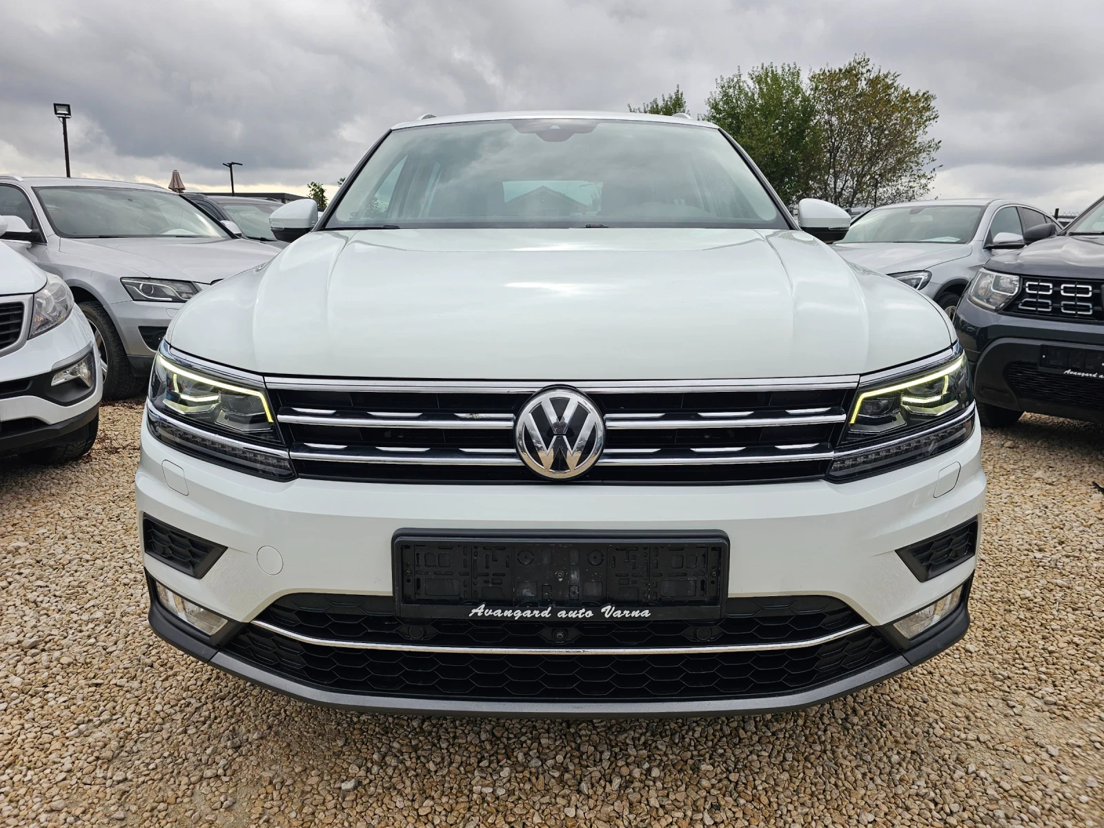 VW Tiguan 2.0TDI, 190к.с., 4х4, Executive - изображение 2