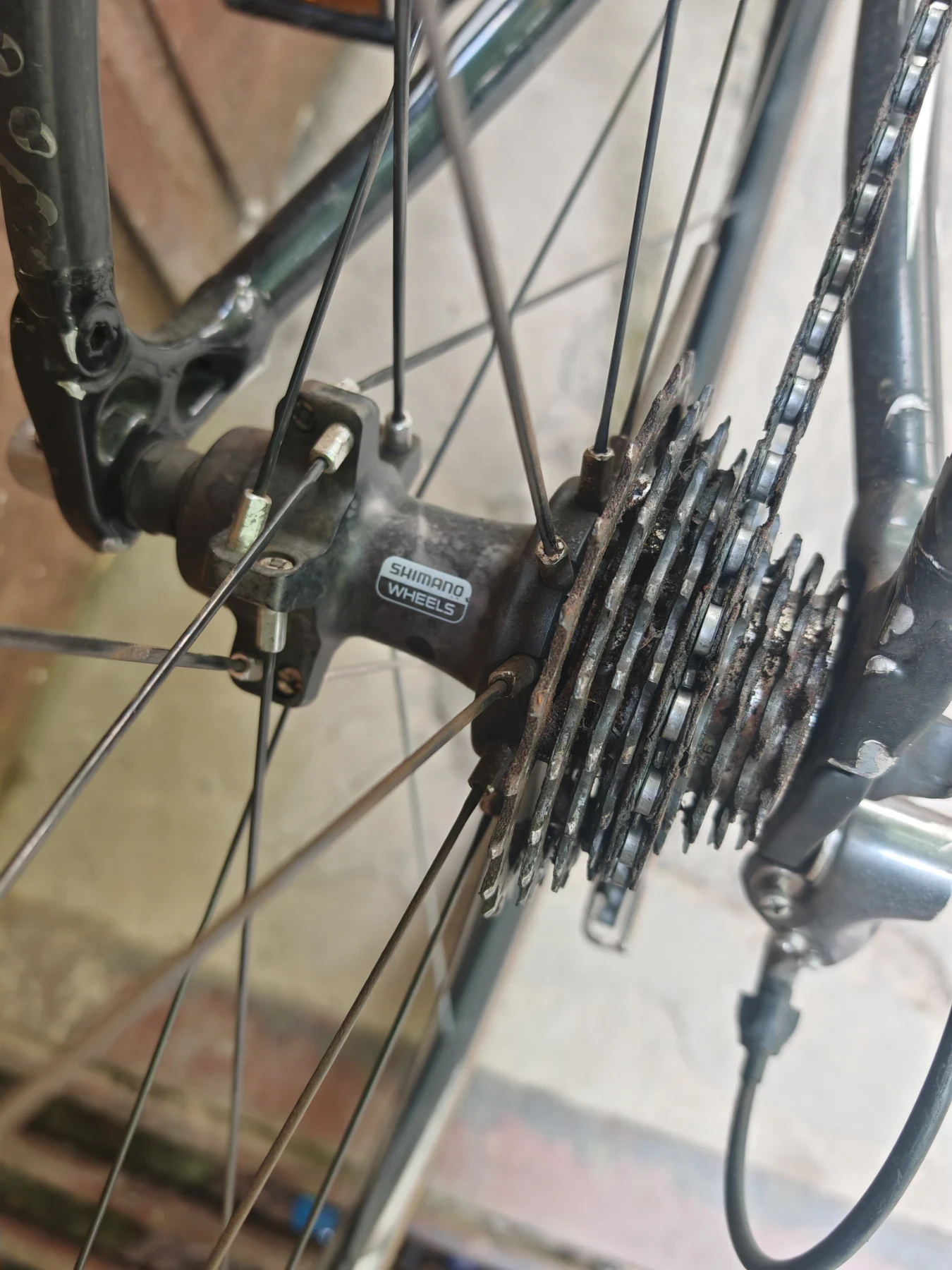  ALOE | Mobile.bg   5