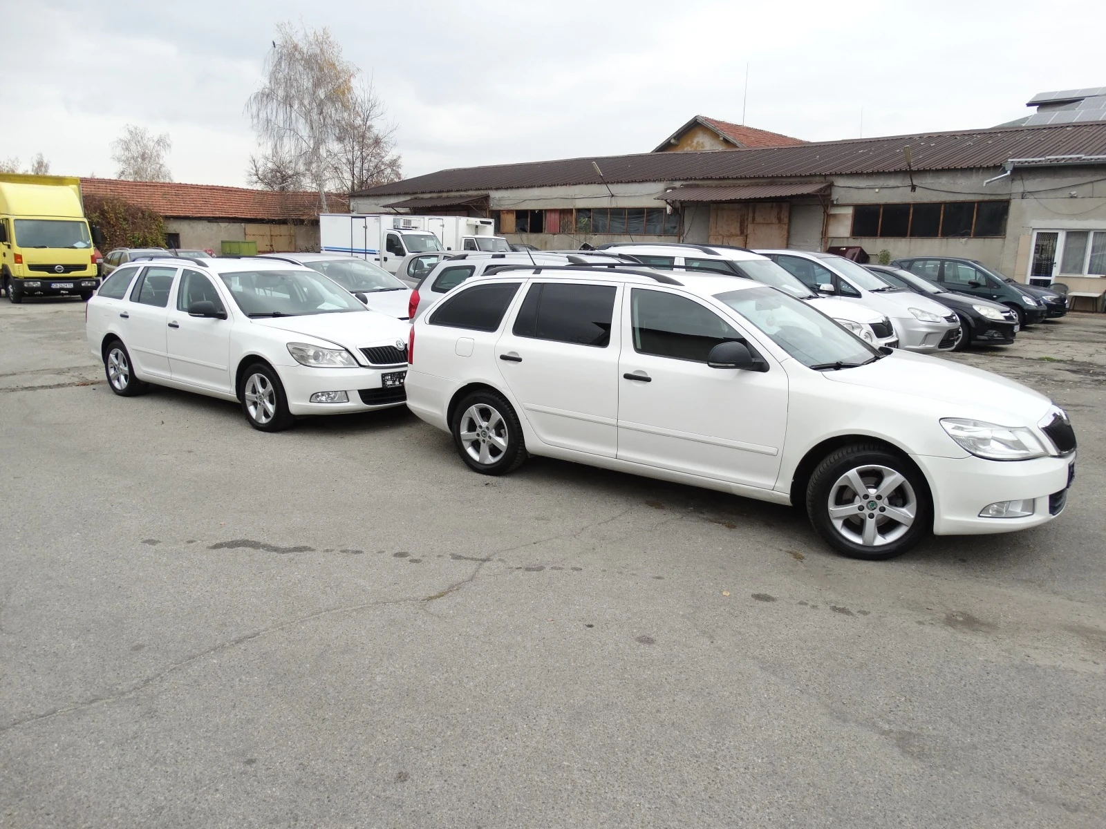 Skoda Octavia 1, 6-TDI- 2.  | Mobile.bg   15