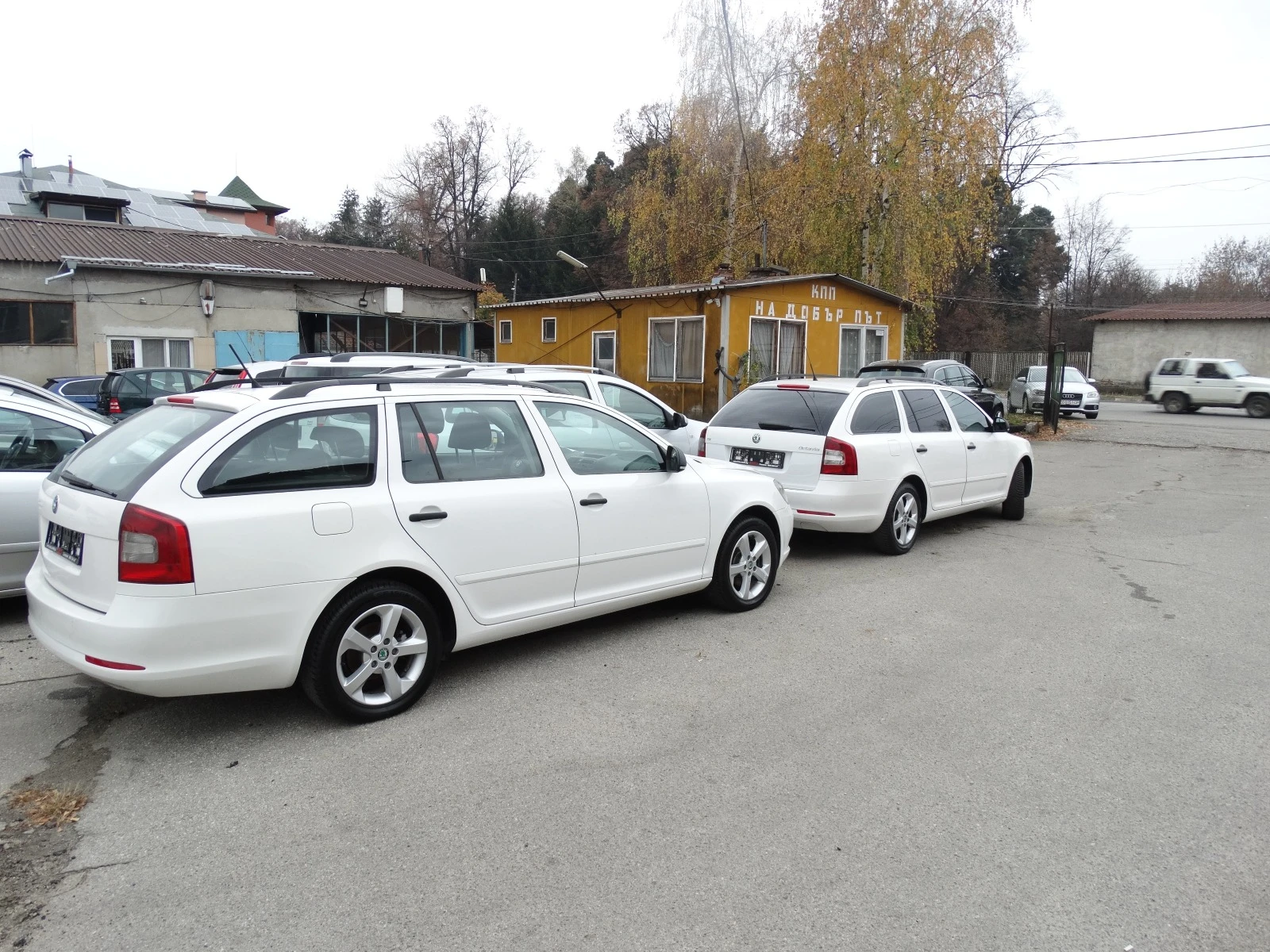 Skoda Octavia 1, 6-TDI- 2.  | Mobile.bg   16