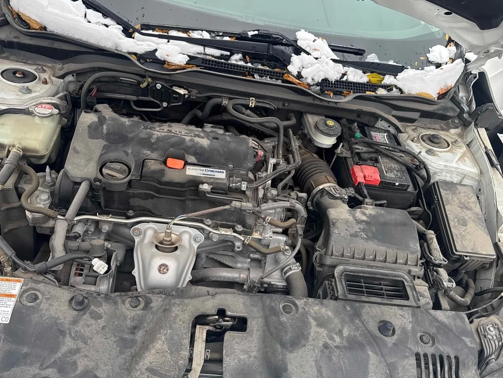 Honda Civic * SE * CARFAX *    | Mobile.bg   13