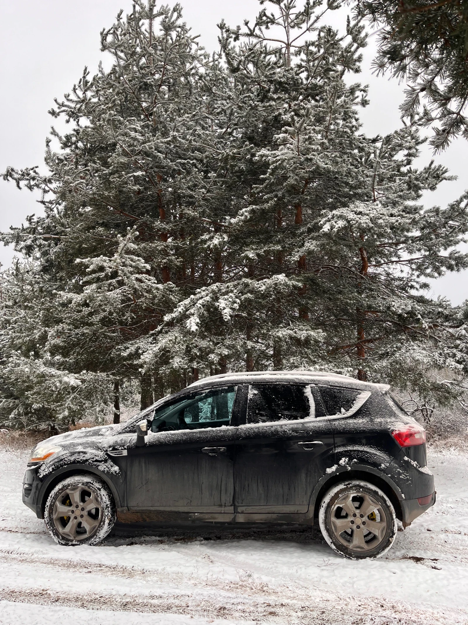 Ford Kuga 4х4 , снимка 6 - Автомобили и джипове - 56038923