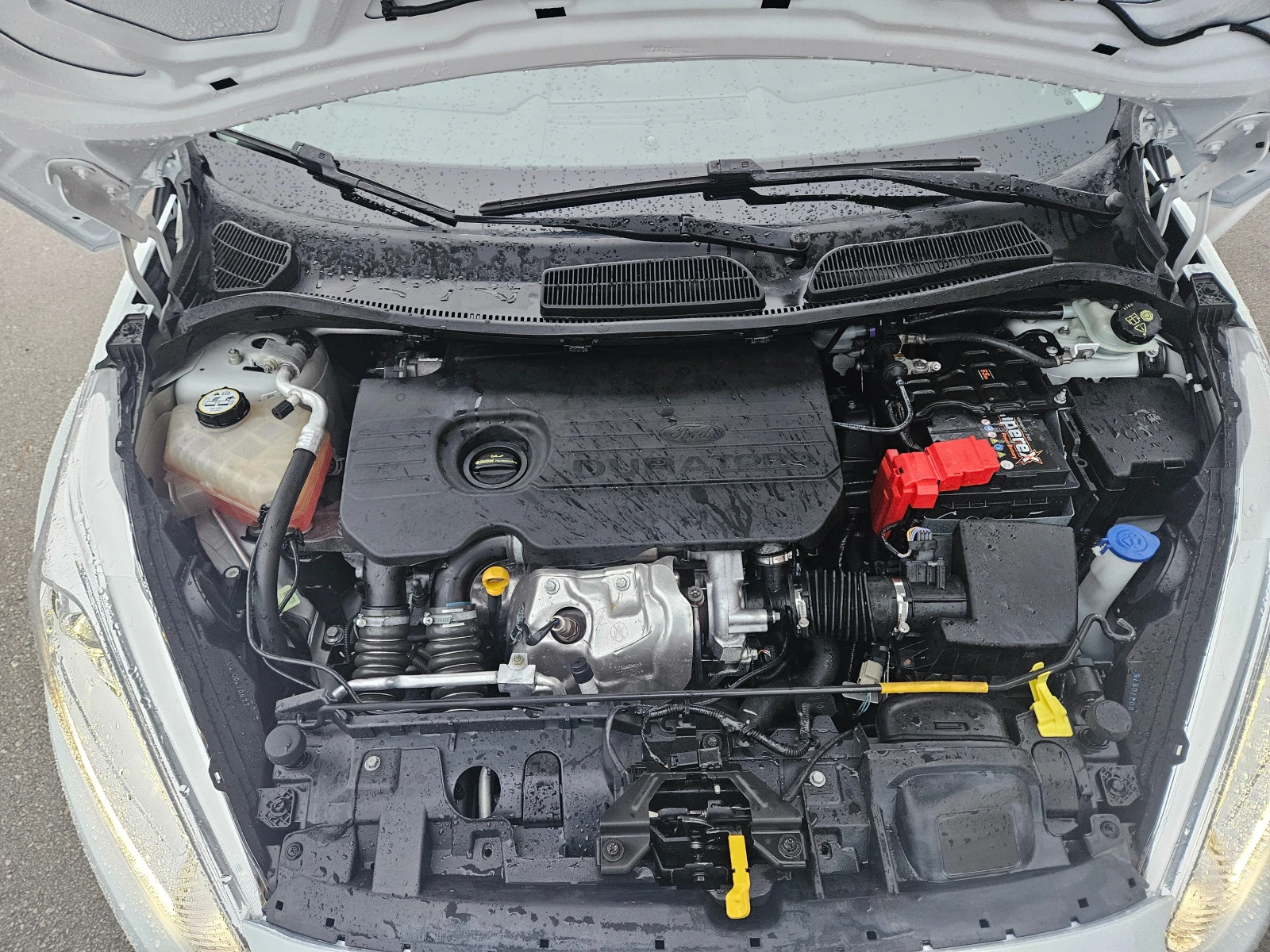 Ford Fiesta 1.5���������  | Mobile.bg � ����������� 15