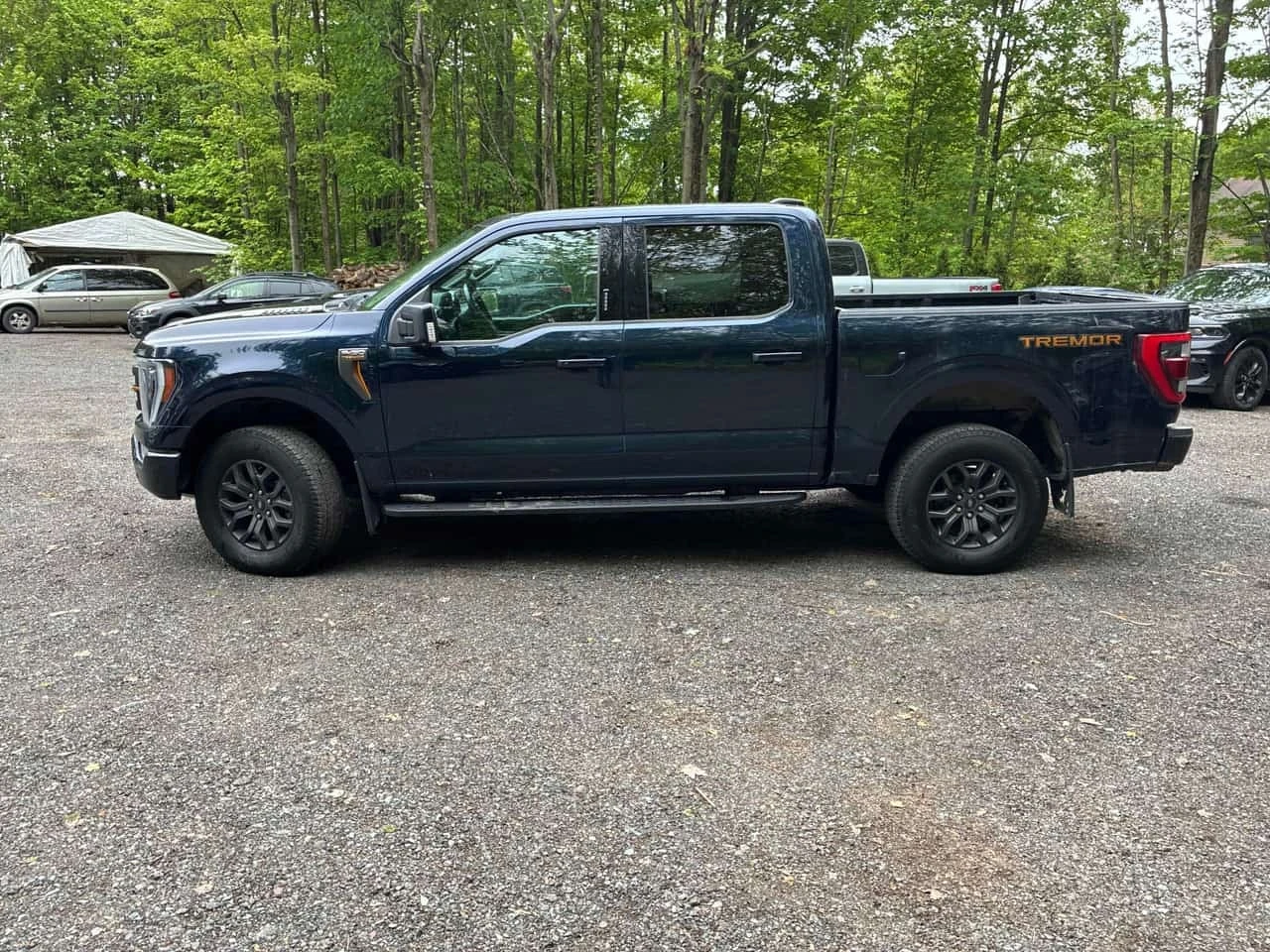 Ford F150 * Tremor 4WD SuperCrew 5.5' Box * ���������� * | Mobile.bg � ����������� 3