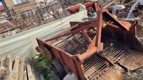 Друг вид Внос Картофовадачка, снимка 3