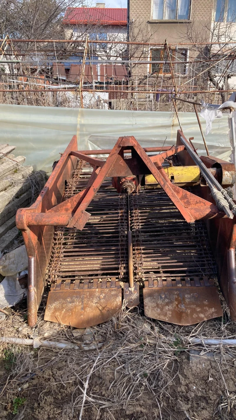 Друг вид Внос Картофовадачка